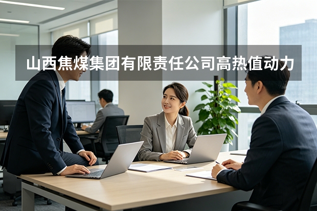 山西焦煤集团有限责任公司高热值动力煤磷砷等微量有害元素富集应对方案
